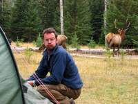 BullElk1.jpg