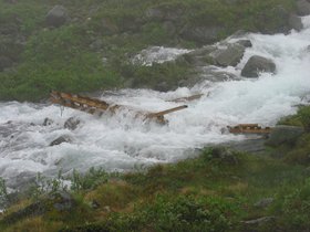 img_4377.jpg