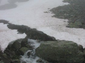 img_4385.jpg