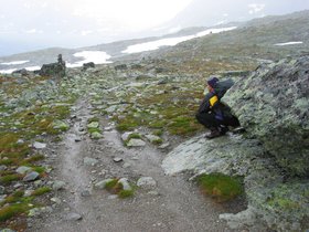 img_4391.jpg