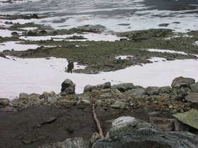 img_4408.jpg