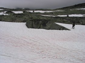 img_4411.jpg