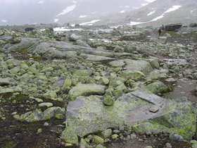 img_4417.jpg