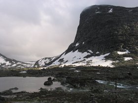 img_4442.jpg