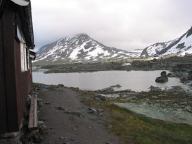 img_4443.jpg