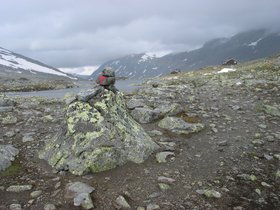 img_4451.jpg
