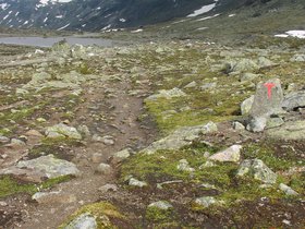 img_4459.jpg