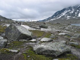 img_4460.jpg
