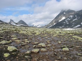 img_4485.jpg