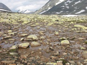 img_4486.jpg