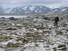 img_4487.jpg