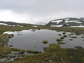 img_4536.jpg