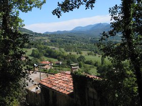 IMG_1200.JPG