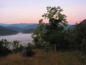 IMG_1239.JPG