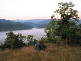 IMG_1240.JPG