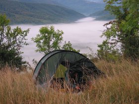 IMG_1241.JPG