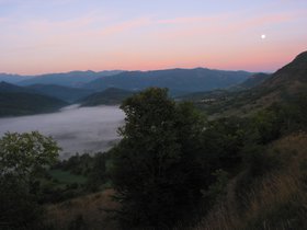 IMG_1243.JPG