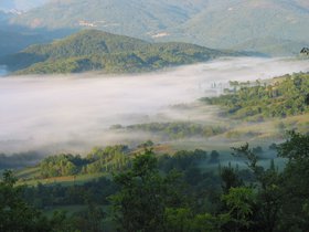 IMG_1245.JPG