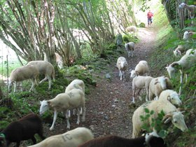 IMG_1265.JPG