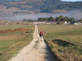 IMG_1317.JPG