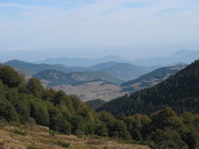 IMG_1333.JPG