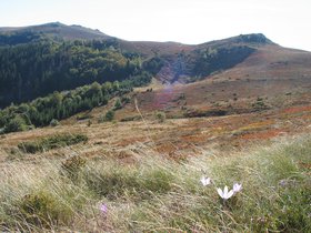 IMG_1336.JPG