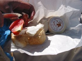 IMG_1342.JPG