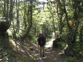 IMG_1372.JPG