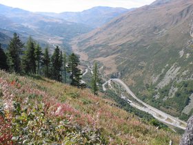 IMG_1457.JPG