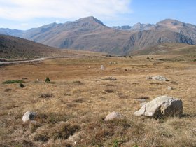 IMG_1467.JPG