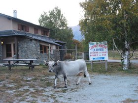 IMG_1487.JPG