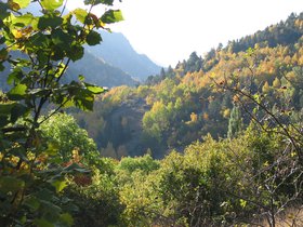IMG_1494.JPG