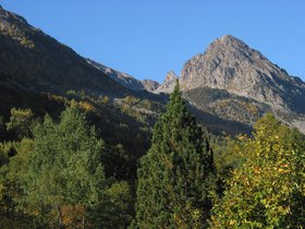 IMG_1498.JPG