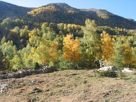 IMG_1506.JPG