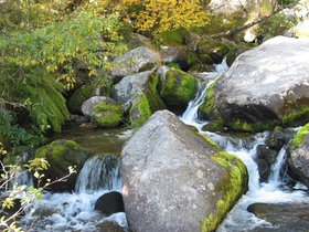 IMG_1524.JPG