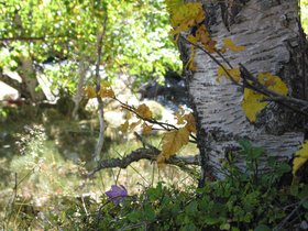IMG_1526.JPG