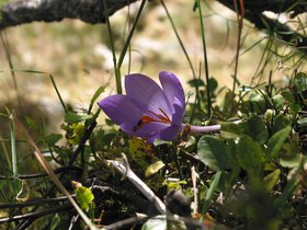 IMG_1527.JPG