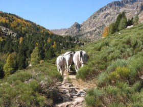 IMG_1539.JPG