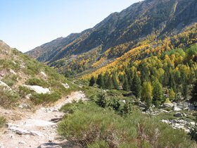 IMG_1544.JPG
