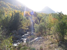 IMG_1556.JPG