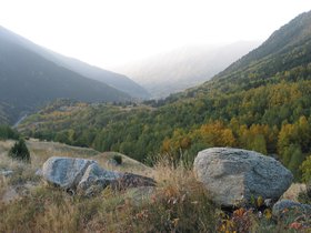 IMG_1571.JPG