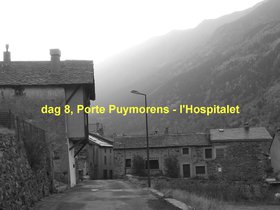 dag8.jpg