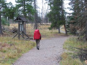 IMG_6246.JPG
