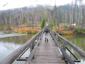 IMG_6247.JPG