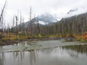IMG_6250.JPG