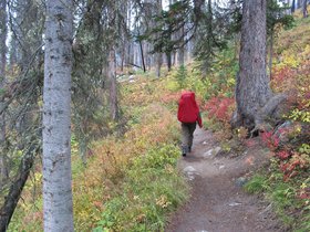 IMG_6252.JPG