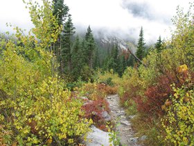IMG_6257.JPG