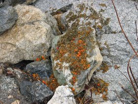 IMG_6260.JPG