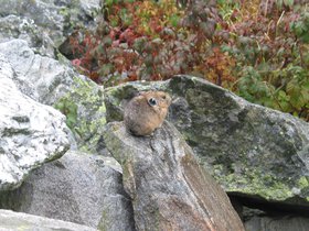 IMG_6281.JPG
