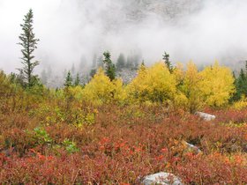 IMG_6287.JPG
